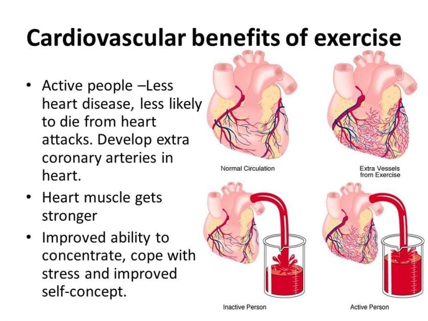 Cardiovascular