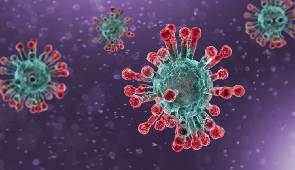 CoronaVirus