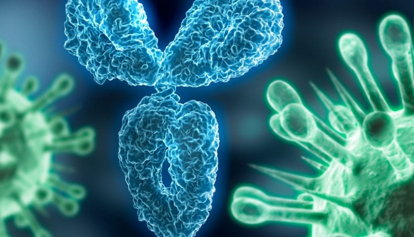 ca antibody 41320istock
