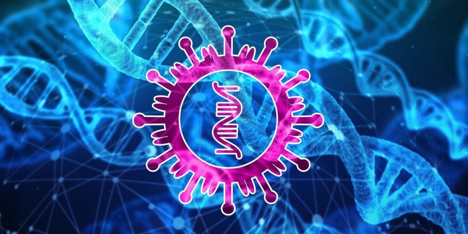 coronavirus 4844620 1920