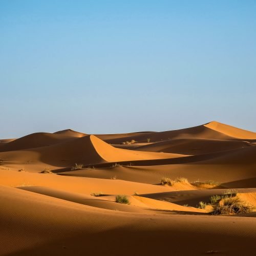 Desert Problem – Earth Creation Science