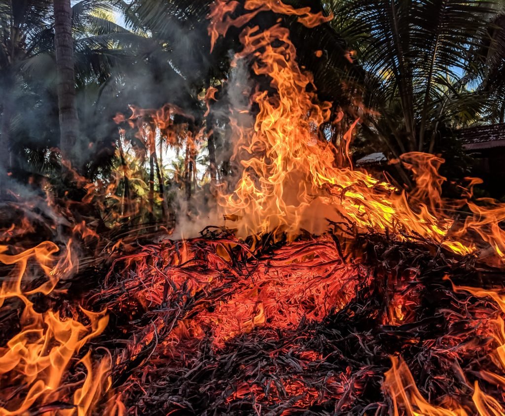 What is a bushfire?, Magazineup