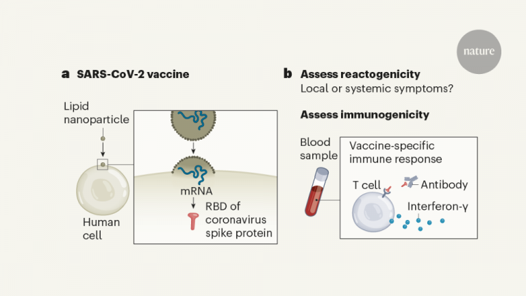 Pfizer’s Vaccine Offers Strong Protection After First Dose