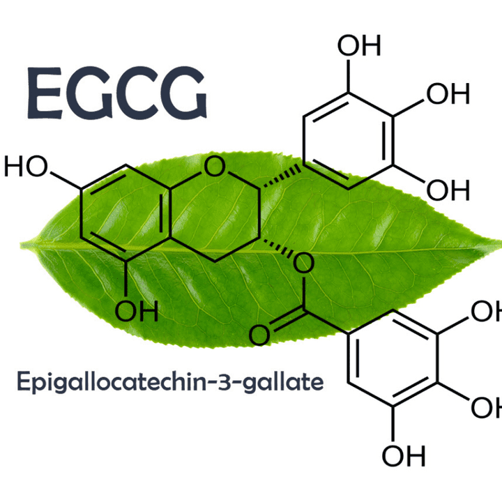 egc
