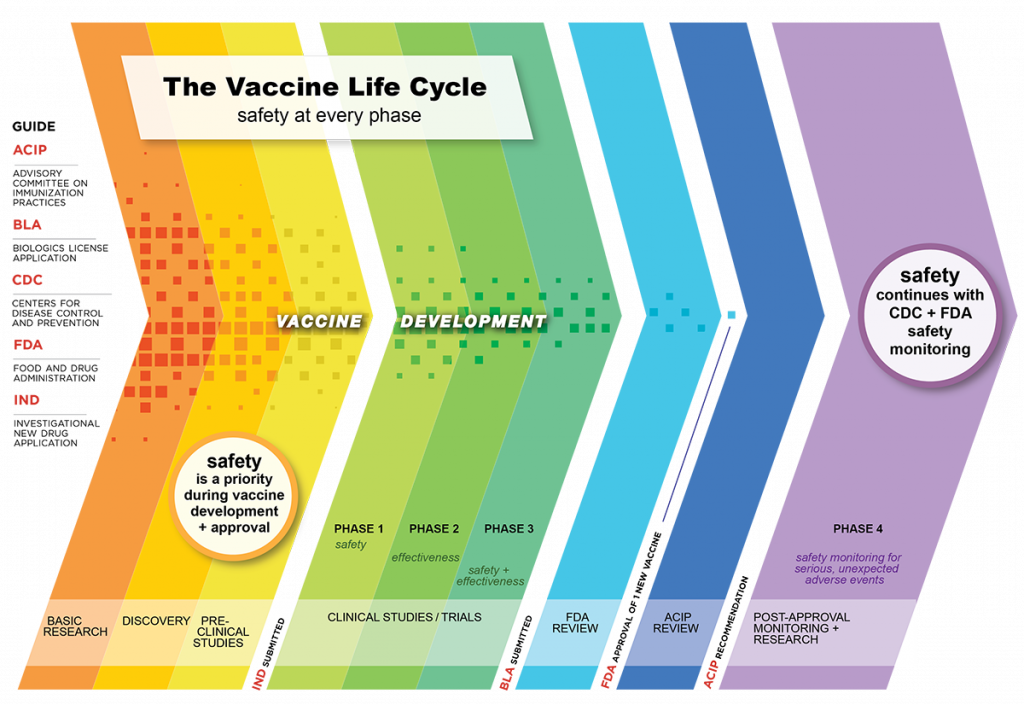 Vaccine Safety Process
