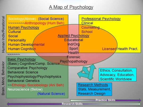 Psychology is the science of mind, Magazineup