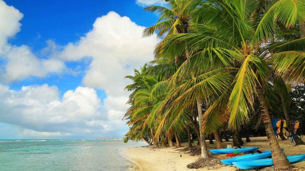 Caribbean