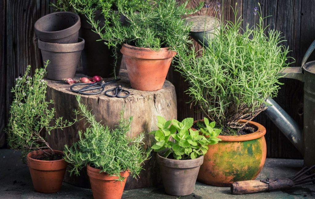 Herb Gardening