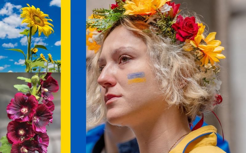 Native Flowers of Ukraine, Magazineup